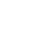 IA Icon